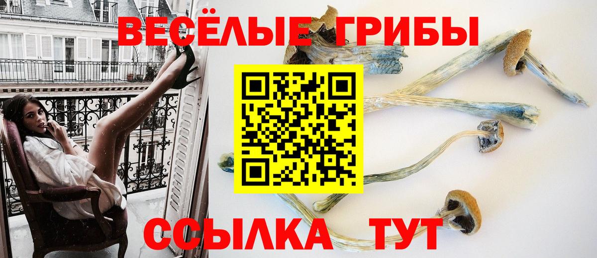 Минусинск  Галлюциногенные грибы Cubensis  Вход с VPN 
