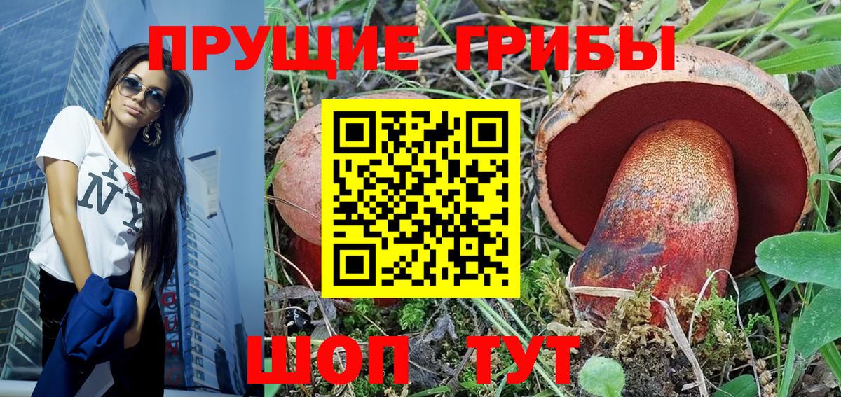 Галлюциногенные грибы Psilocybe Минусинск
